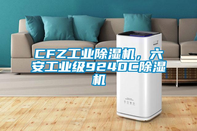 CFZ工業(yè)除濕機，六安工業(yè)級9240C除濕機