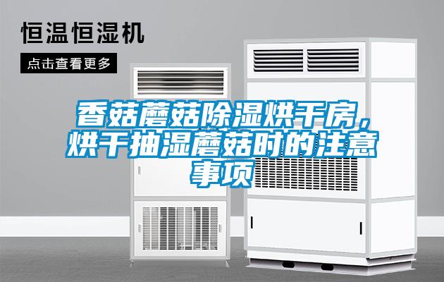 香菇蘑菇除濕烘干房，烘干抽濕蘑菇時的注意事項