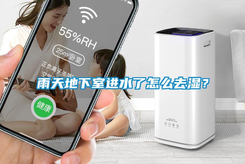 雨天地下室進(jìn)水了怎么去濕？