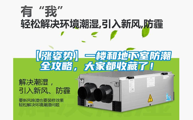【漲姿勢(shì)】一樓和地下室防潮全攻略，大家都收藏了！