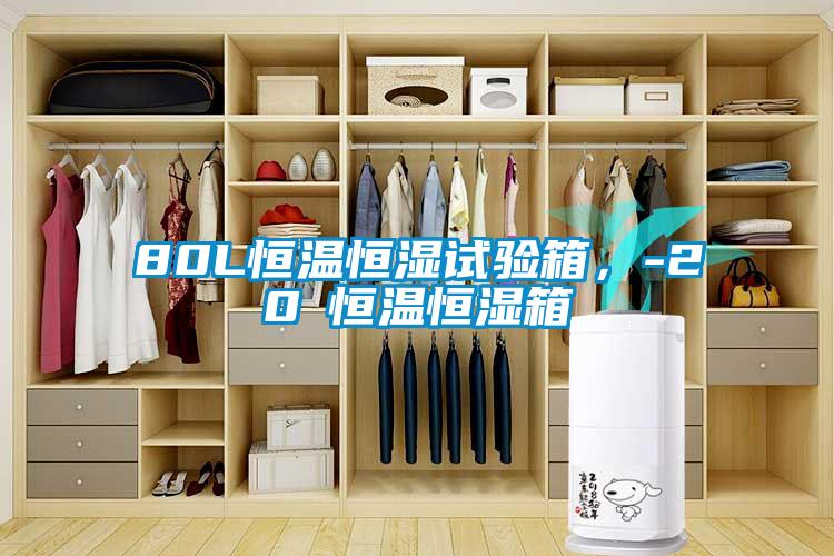 80L恒溫恒濕試驗箱，-20℃恒溫恒濕箱