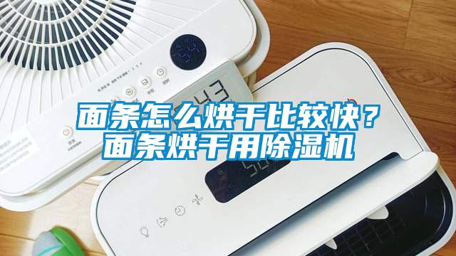面條怎么烘干比較快？面條烘干用除濕機(jī)