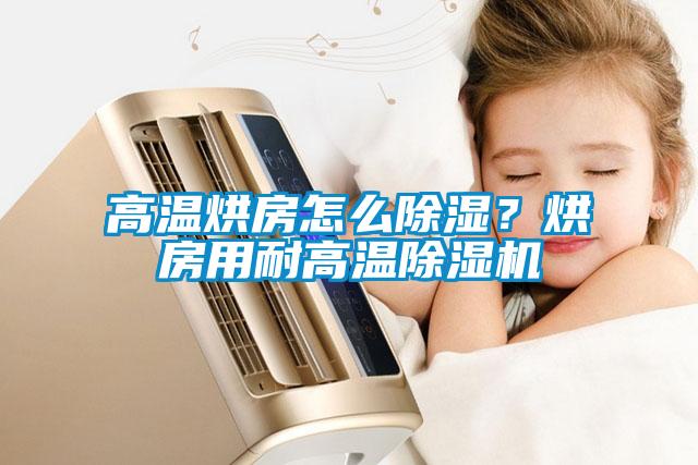 高溫烘房怎么除濕？烘房用耐高溫除濕機(jī)