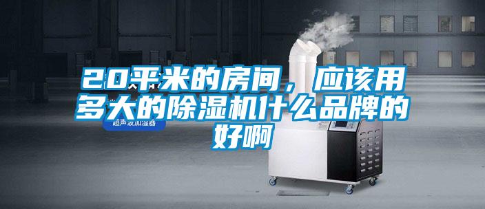 20平米的房間，應(yīng)該用多大的除濕機什么品牌的好啊