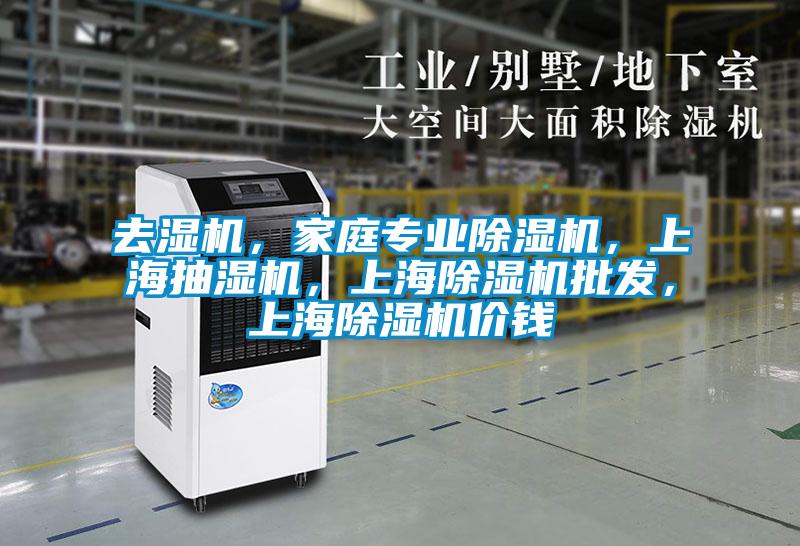 去濕機，家庭專業(yè)除濕機，上海抽濕機，上海除濕機批發(fā)，上海除濕機價錢