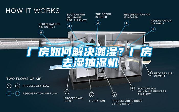 廠房如何解決潮濕？廠房去濕抽濕機(jī)