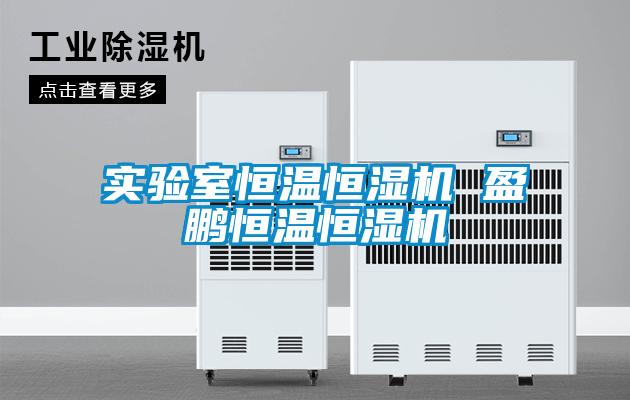 實(shí)驗室恒溫恒濕機(jī) 盈鵬恒溫恒濕機(jī)
