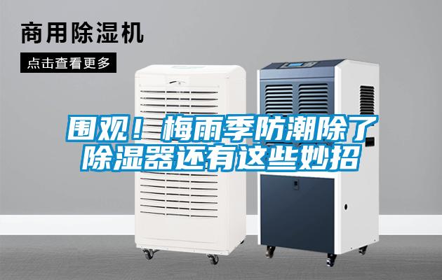 圍觀(guān)！梅雨季防潮除了除濕器還有這些妙招