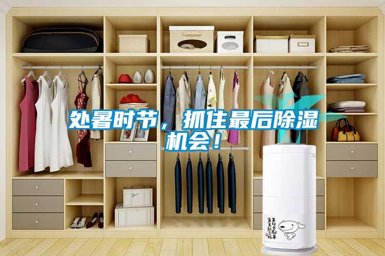 處暑時節(jié)，抓住最后除濕機會！