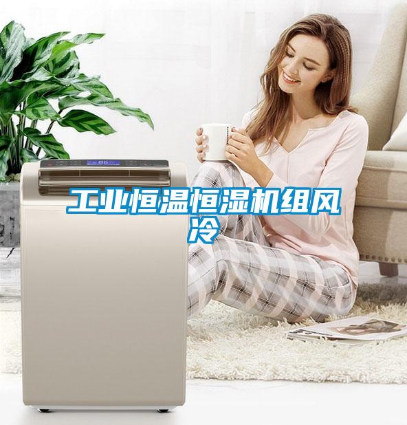 工業(yè)恒溫恒濕機組風冷