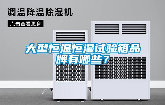 大型恒溫恒濕試驗箱品牌有哪些？