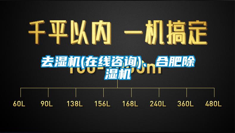 去濕機(jī)(在線咨詢)、合肥除濕機(jī)