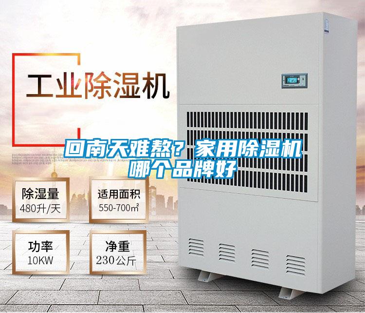 回南天難熬？家用除濕機(jī)哪個品牌好