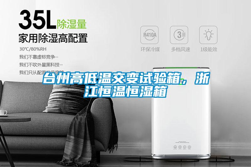 臺州高低溫交變試驗(yàn)箱，浙江恒溫恒濕箱