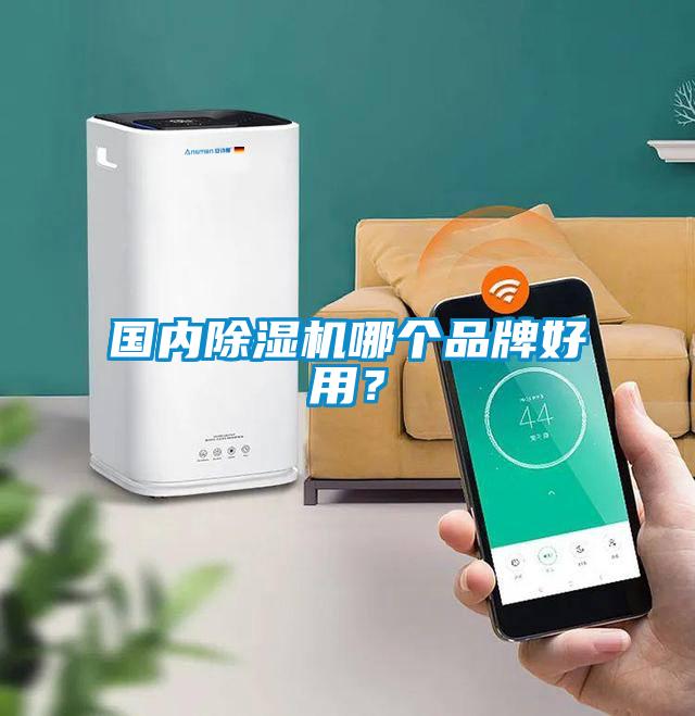 國內(nèi)除濕機(jī)哪個(gè)品牌好用？