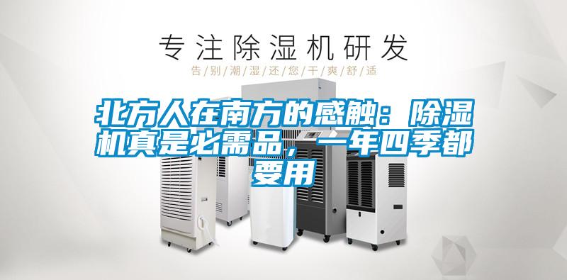 北方人在南方的感觸：除濕機真是必需品，一年四季都要用