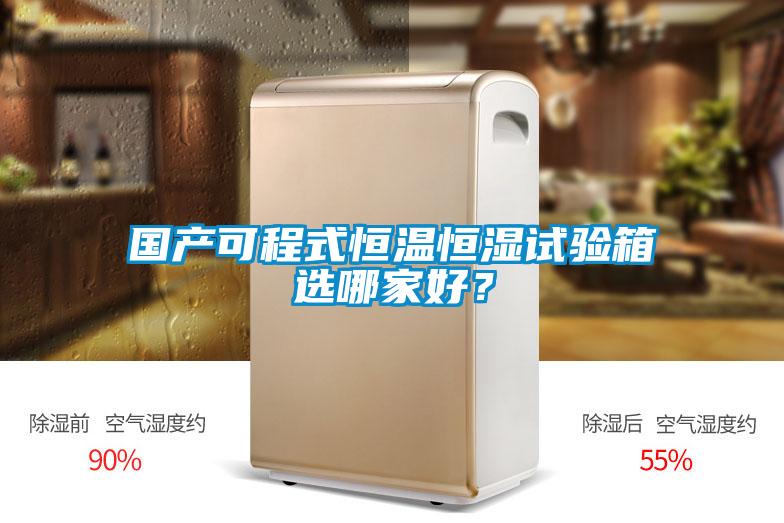 國產(chǎn)可程式恒溫恒濕試驗箱選哪家好？