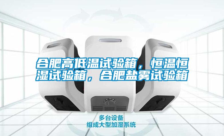 合肥高低溫試驗(yàn)箱，恒溫恒濕試驗(yàn)箱，合肥鹽霧試驗(yàn)箱