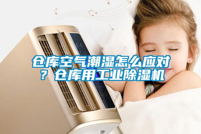 倉(cāng)庫(kù)空氣潮濕怎么應(yīng)對(duì)？倉(cāng)庫(kù)用工業(yè)除濕機(jī)