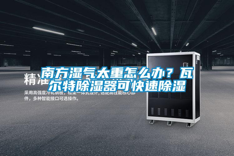 南方濕氣太重怎么辦？瓦爾特除濕器可快速除濕