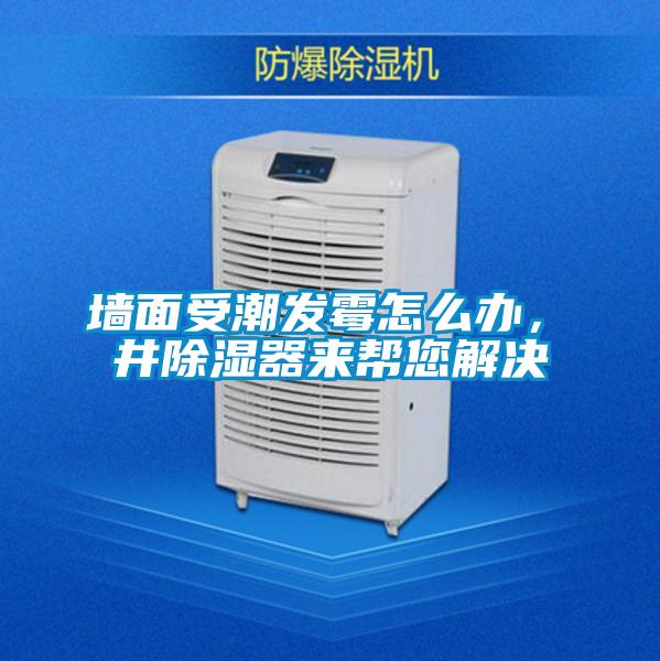 墻面受潮發(fā)霉怎么辦，東井除濕器來幫您解決