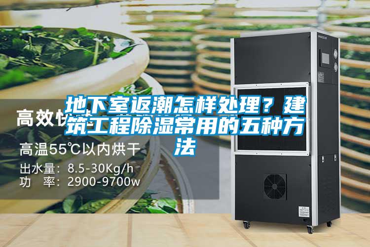 地下室返潮怎樣處理？建筑工程除濕常用的五種方法