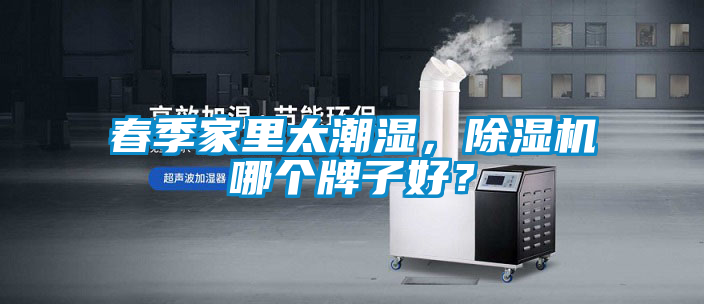 春季家里太潮濕，除濕機(jī)哪個牌子好？