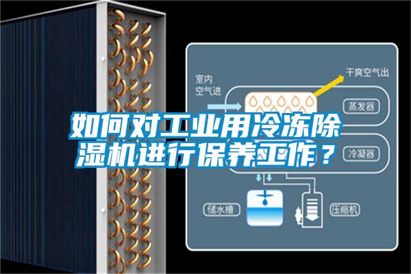 如何對(duì)工業(yè)用冷凍除濕機(jī)進(jìn)行保養(yǎng)工作？