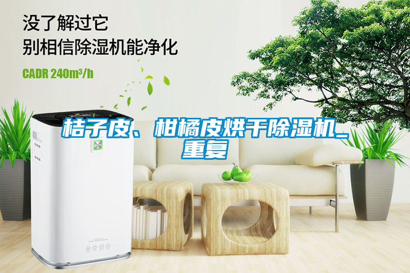 桔子皮、柑橘皮烘干除濕機(jī)_重復(fù)