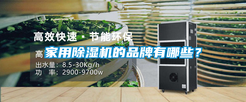 家用除濕機的品牌有哪些？