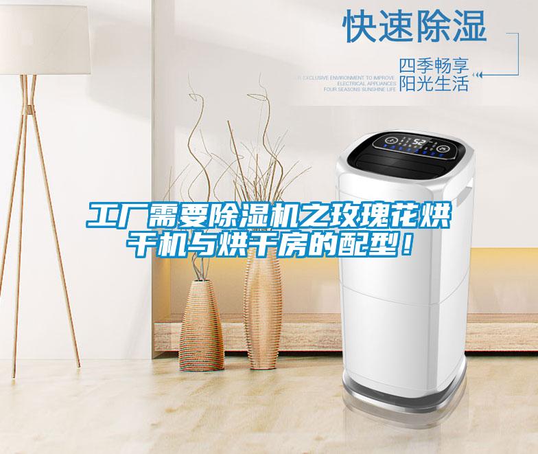 工廠需要除濕機(jī)之玫瑰花烘干機(jī)與烘干房的配型！