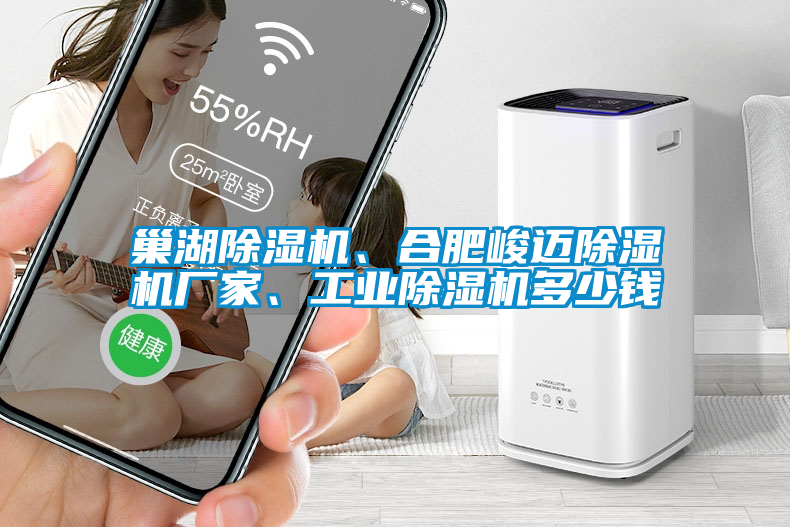 巢湖除濕機(jī)、合肥峻邁除濕機(jī)廠家、工業(yè)除濕機(jī)多少錢
