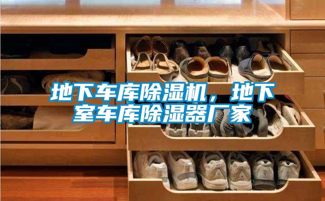 地下車庫除濕機，地下室車庫除濕器廠家