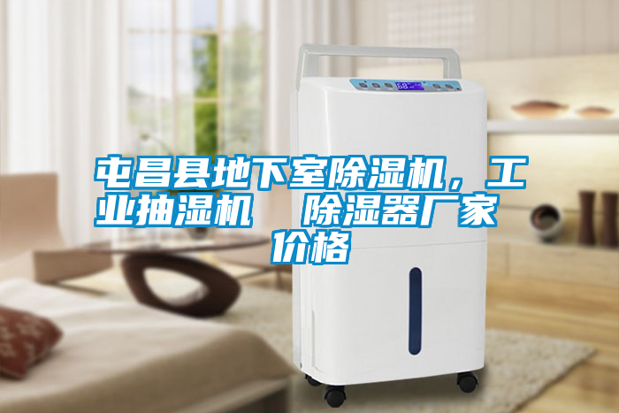 屯昌縣地下室除濕機(jī)，工業(yè)抽濕機(jī)  除濕器廠家 價(jià)格