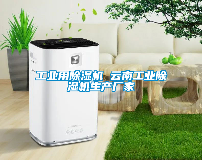 工業(yè)用除濕機(jī) 云南工業(yè)除濕機(jī)生產(chǎn)廠(chǎng)家