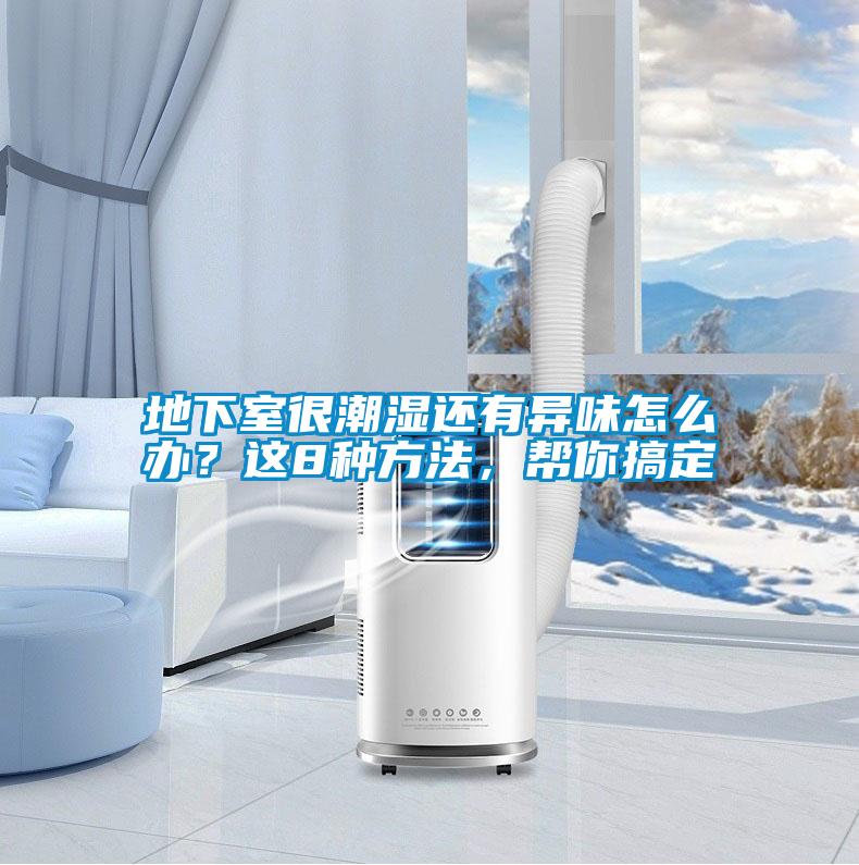 地下室很潮濕還有異味怎么辦？這8種方法，幫你搞定