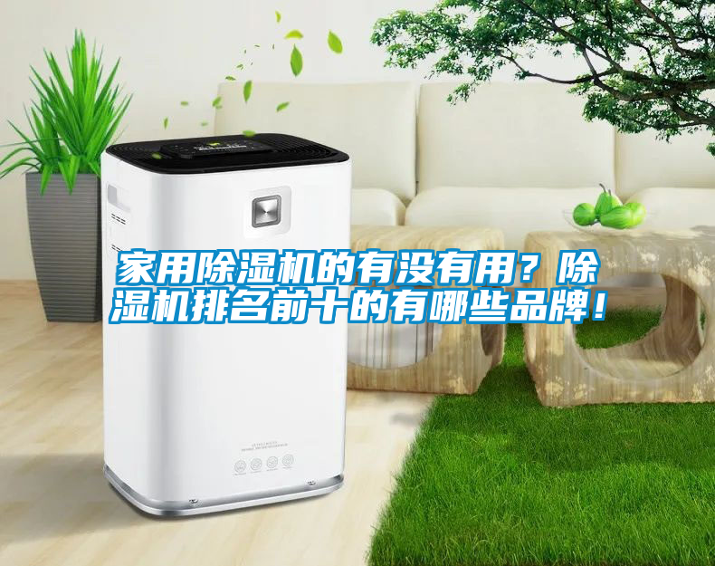 家用除濕機(jī)的有沒(méi)有用？除濕機(jī)排名前十的有哪些品牌！