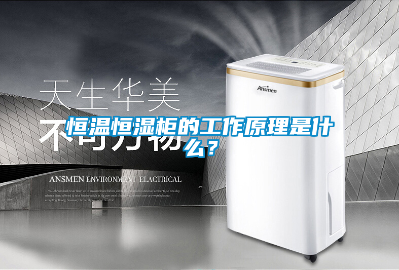 恒溫恒濕柜的工作原理是什么？