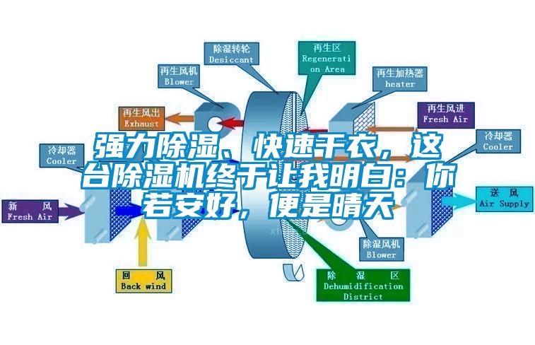 強力除濕、快速干衣，這臺除濕機終于讓我明白：你若安好，便是晴天