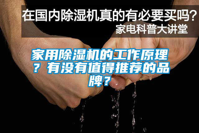 家用除濕機(jī)的工作原理？有沒有值得推薦的品牌？