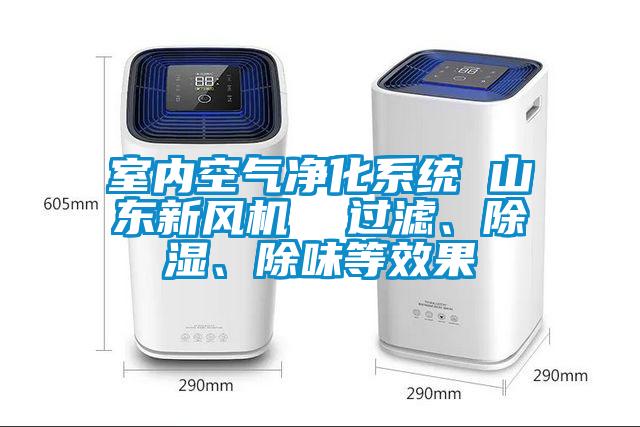 室內空氣凈化系統(tǒng) 山東新風機  過濾、除濕、除味等效果