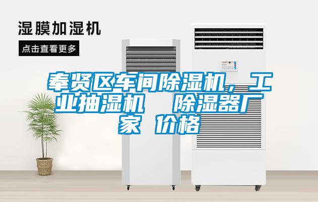 奉賢區(qū)車間除濕機(jī)，工業(yè)抽濕機(jī)  除濕器廠家 價(jià)格