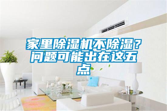 家里除濕機不除濕？問題可能出在這五點