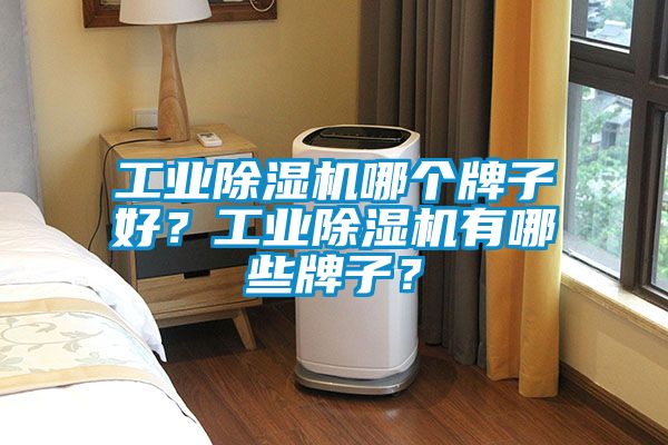 工業(yè)除濕機(jī)哪個(gè)牌子好？工業(yè)除濕機(jī)有哪些牌子？