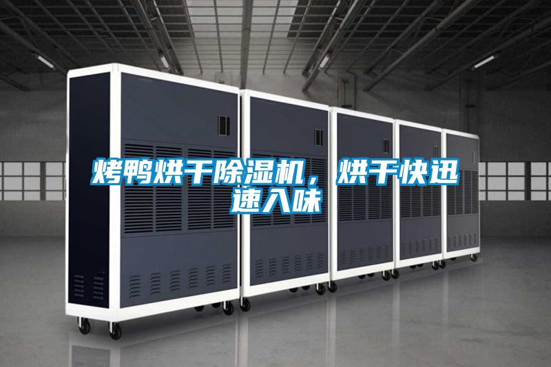 烤鴨烘干除濕機(jī)，烘干快迅速入味