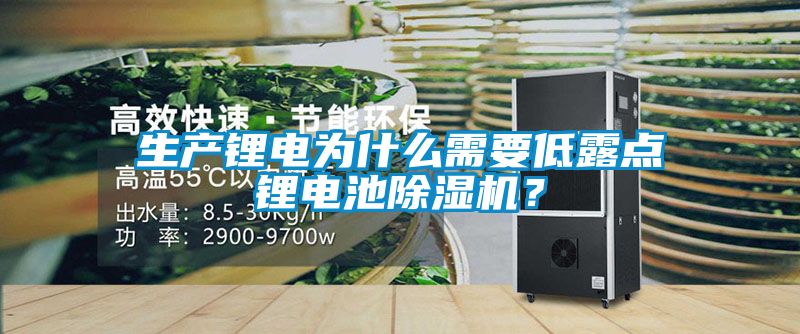 生產鋰電為什么需要低露點鋰電池除濕機？