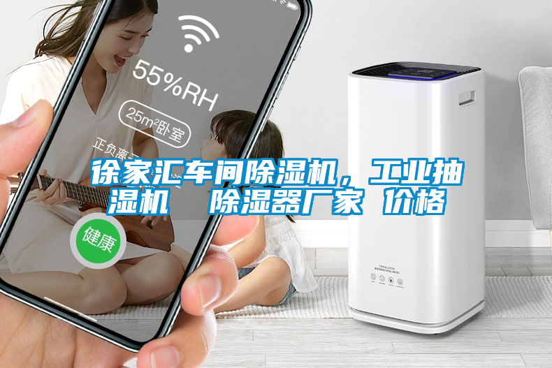 徐家匯車間除濕機，工業(yè)抽濕機  除濕器廠家 價格