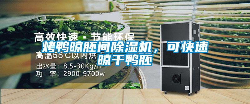 烤鴨晾胚間除濕機(jī)，可快速晾干鴨胚