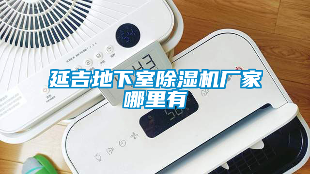 延吉地下室除濕機(jī)廠(chǎng)家哪里有