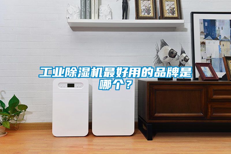 工業(yè)除濕機(jī)最好用的品牌是哪個(gè)？